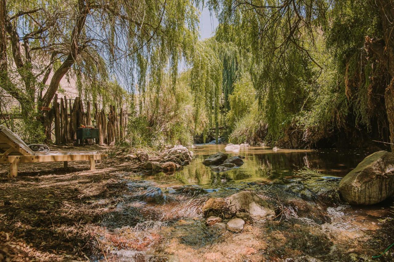 Hotel Vivelo Elqui Landscape Horcón 외부 사진