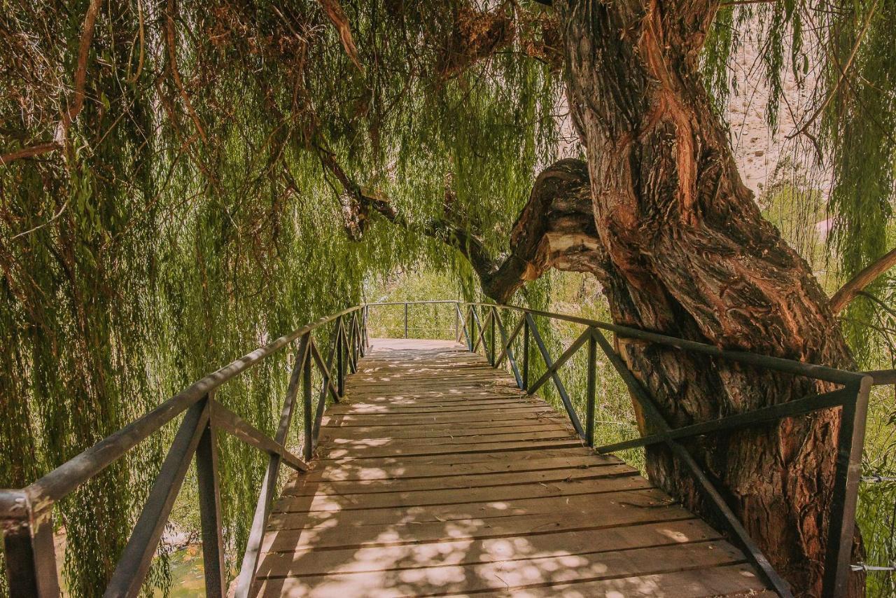 Hotel Vivelo Elqui Landscape Horcón 외부 사진