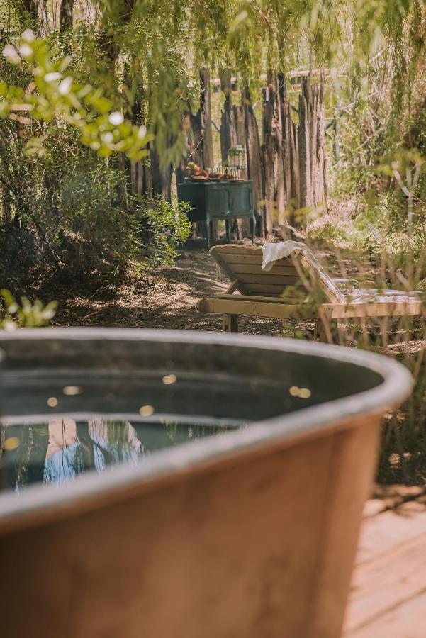 Hotel Vivelo Elqui Landscape Horcón 외부 사진